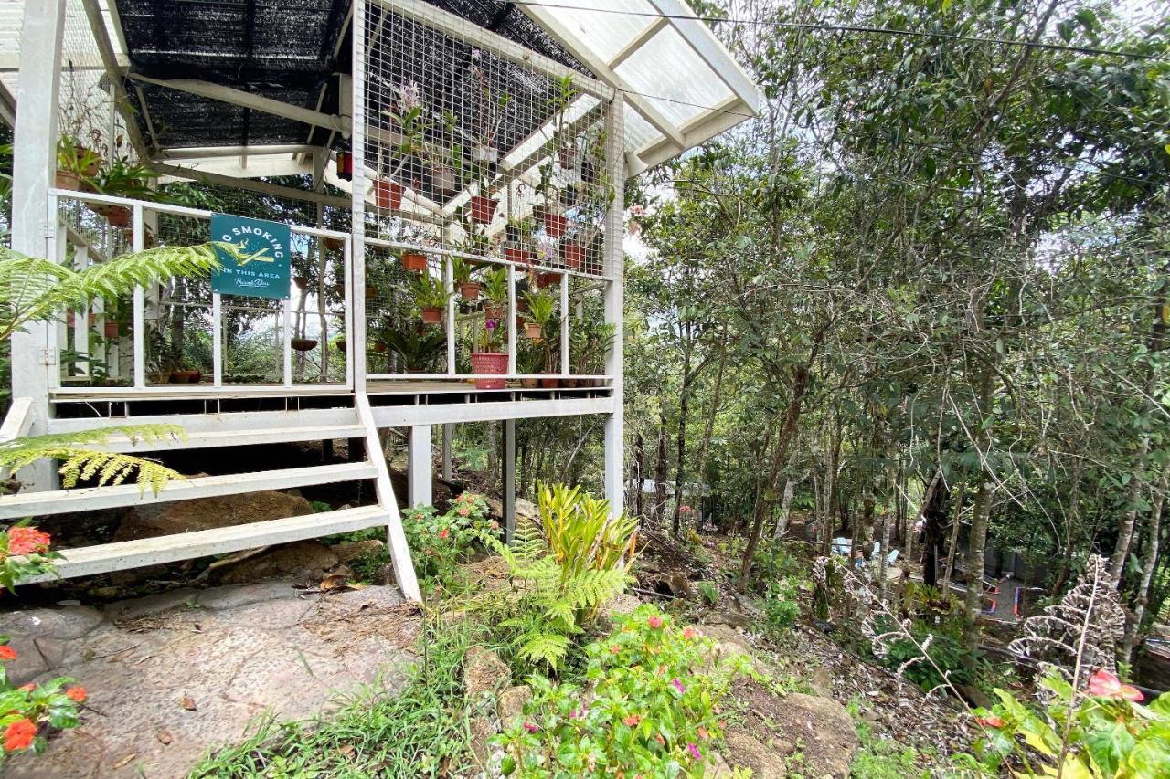 Hotel Spot On 90279 Kinomulok Garden Ranau Exteriér fotografie